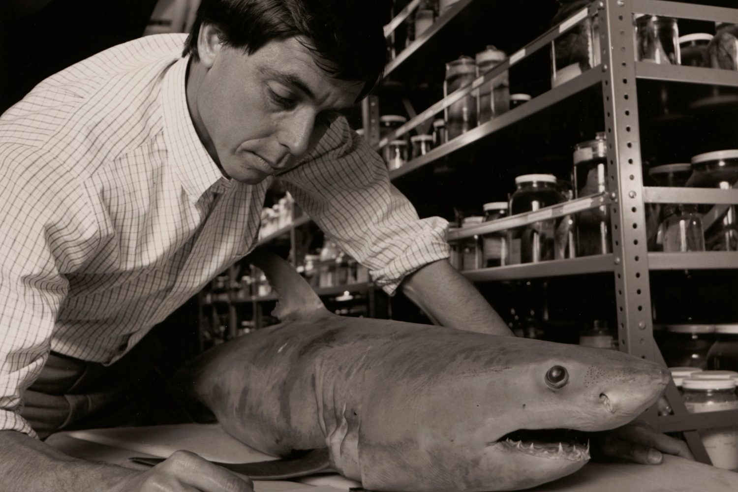 A marine biologist poses in his office with the HP 15C calculator.
