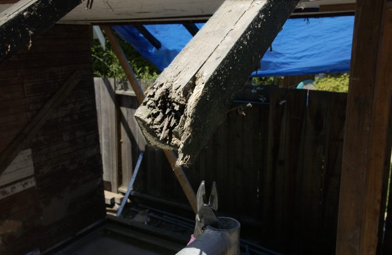 Photo of a decayed rafter from the Addison Avenue property before the structures were restored.