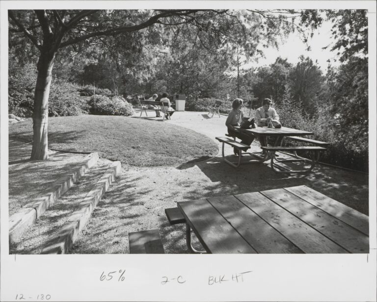 A man and woman seated at a picnic table outdoors.