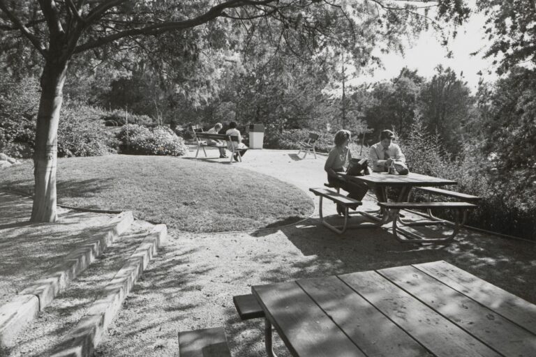 A man and woman seated at a picnic table outdoors.