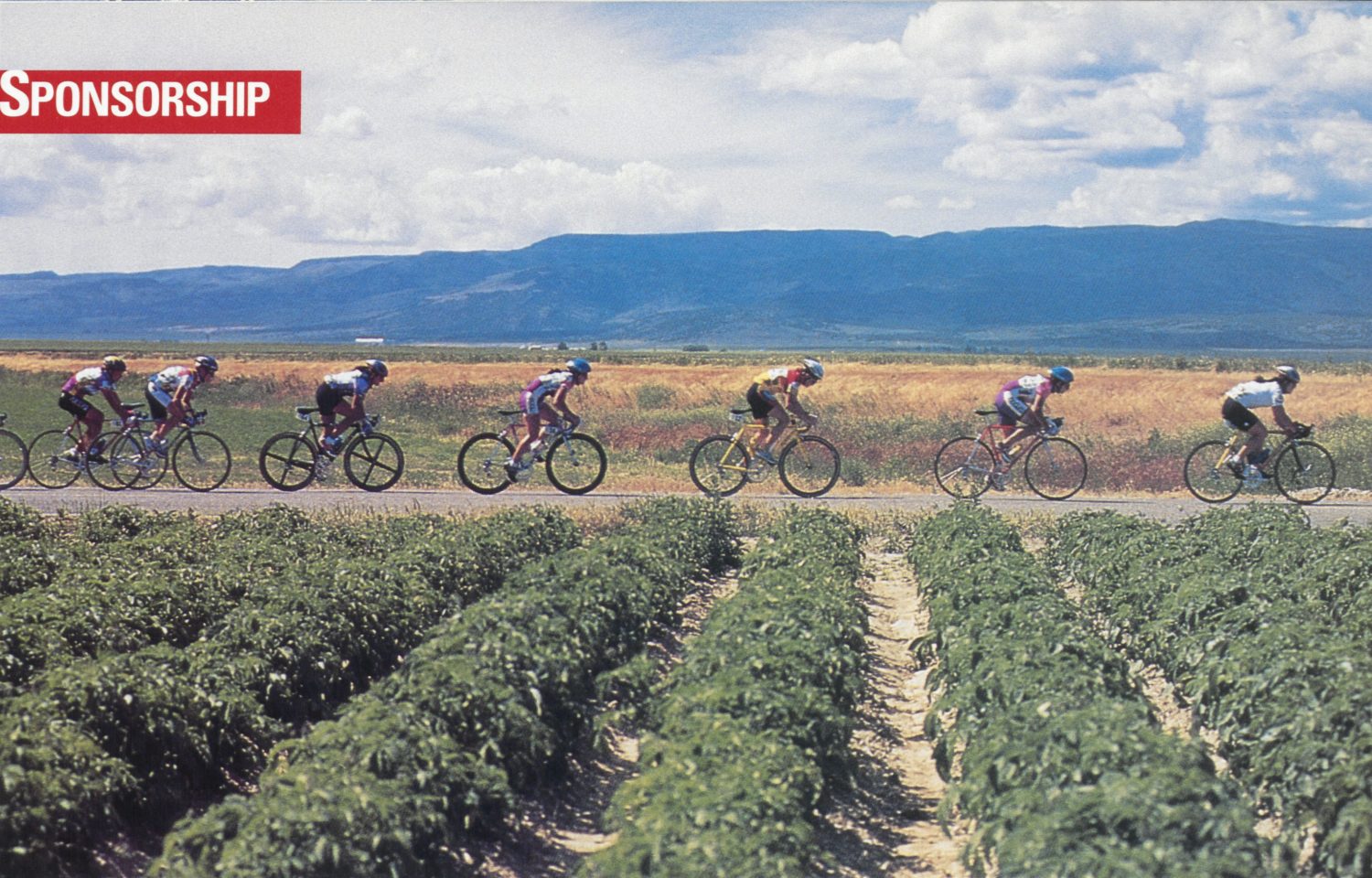 Women cyclists riding on a road near rows of crops.